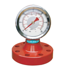 Đồng hồ đo áp suất kết nối ren nam NPT M20X1.5 ZG 1 1/2.2 Inch